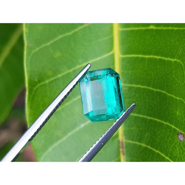 2.95 carat emerald-cut Colombian emerald with vibrant medium green color, held by tweezers against a green leaf.