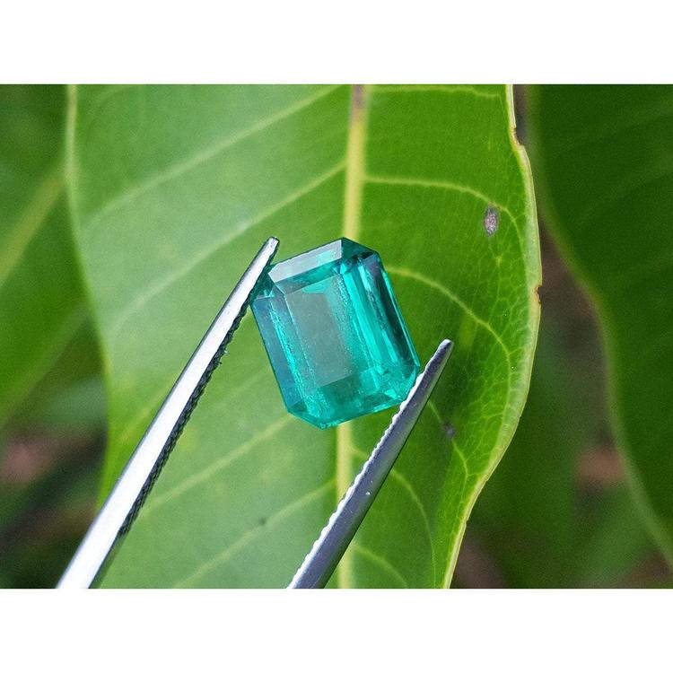 2.95 carat emerald-cut loose Colombian emerald with vibrant medium green color, held by tweezers against a green leaf.