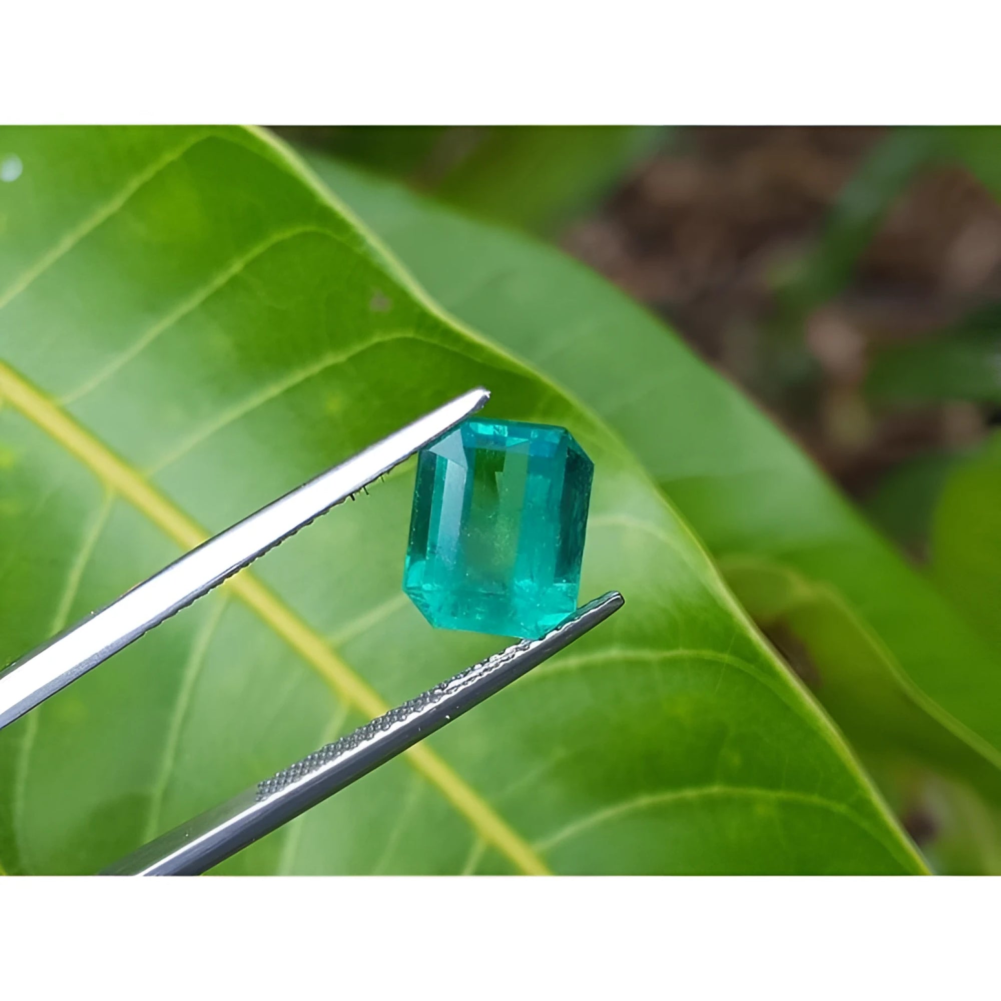 2.95 carat emerald-cut loose Colombian emerald with vibrant medium green color, held by tweezers.
