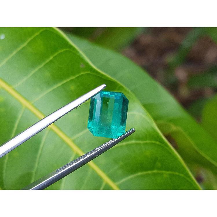 2.95 carat emerald-cut loose Colombian emerald with vibrant medium green color, held by tweezers.