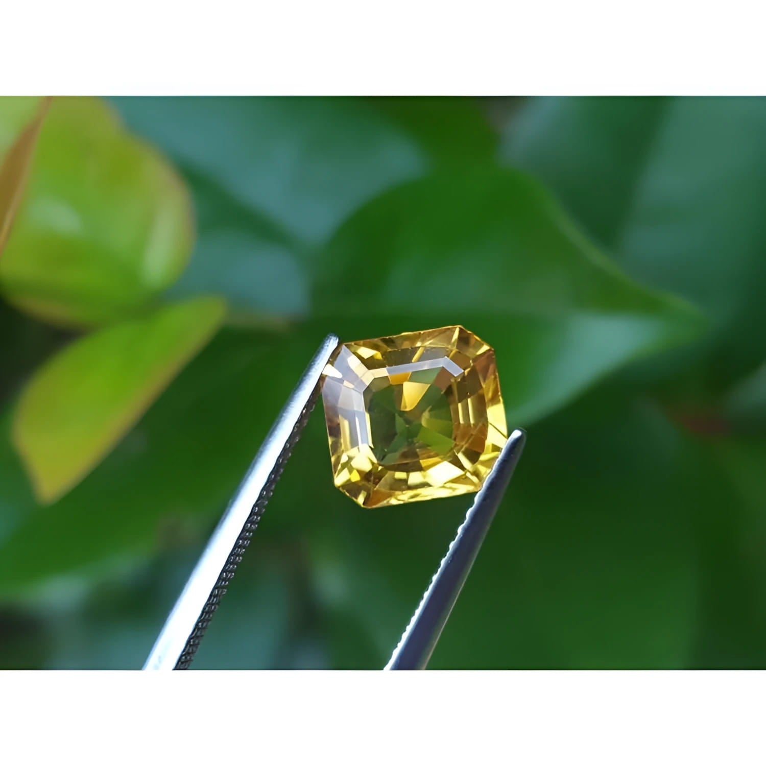2.90 ct. natural Asscher cut loose yellow sapphire gemstone held by tweezers.