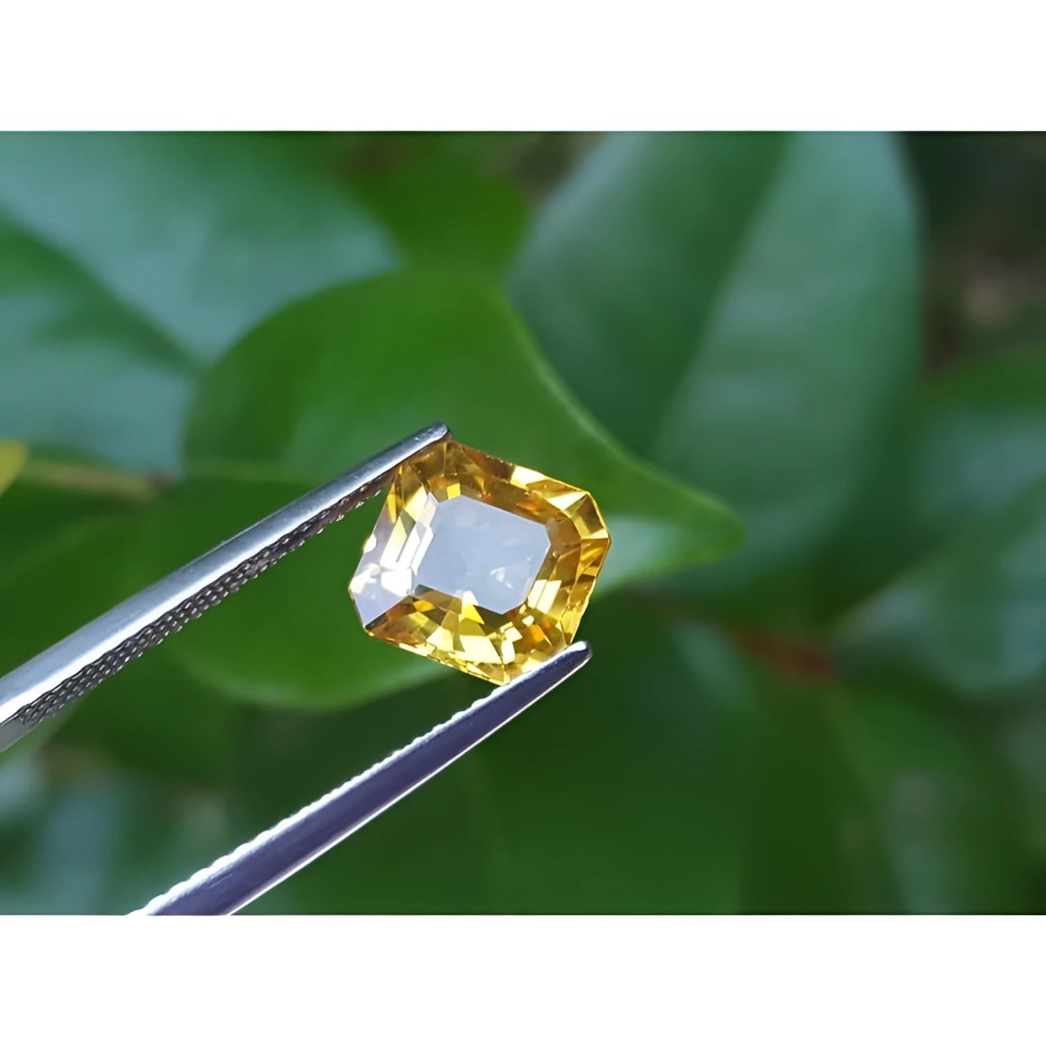 2.90 ct. natural Asscher cut loose yellow sapphire gemstone held by tweezers.
