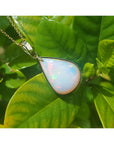 Opal pendant on a gold chain against a green leaf background.