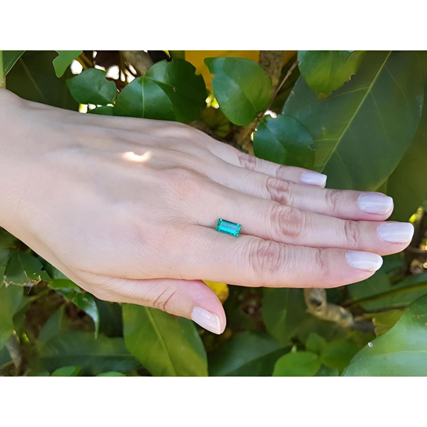 1.62 ct. baguette-cut loose natural emerald, vibrant green, on a hand against green leaves.