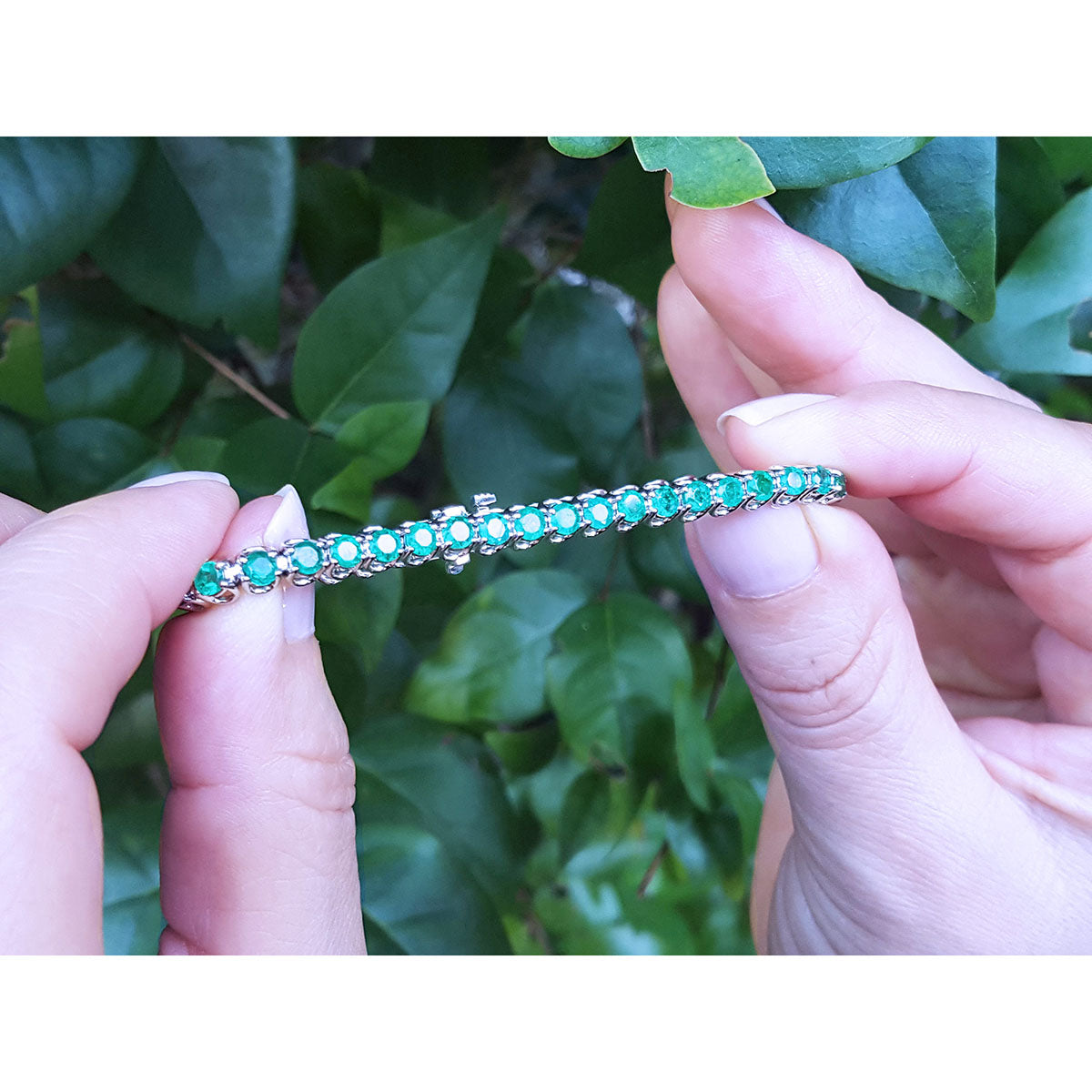 Hands holding between fingers a colombian emerald tennis bracelet against a green leafy background.