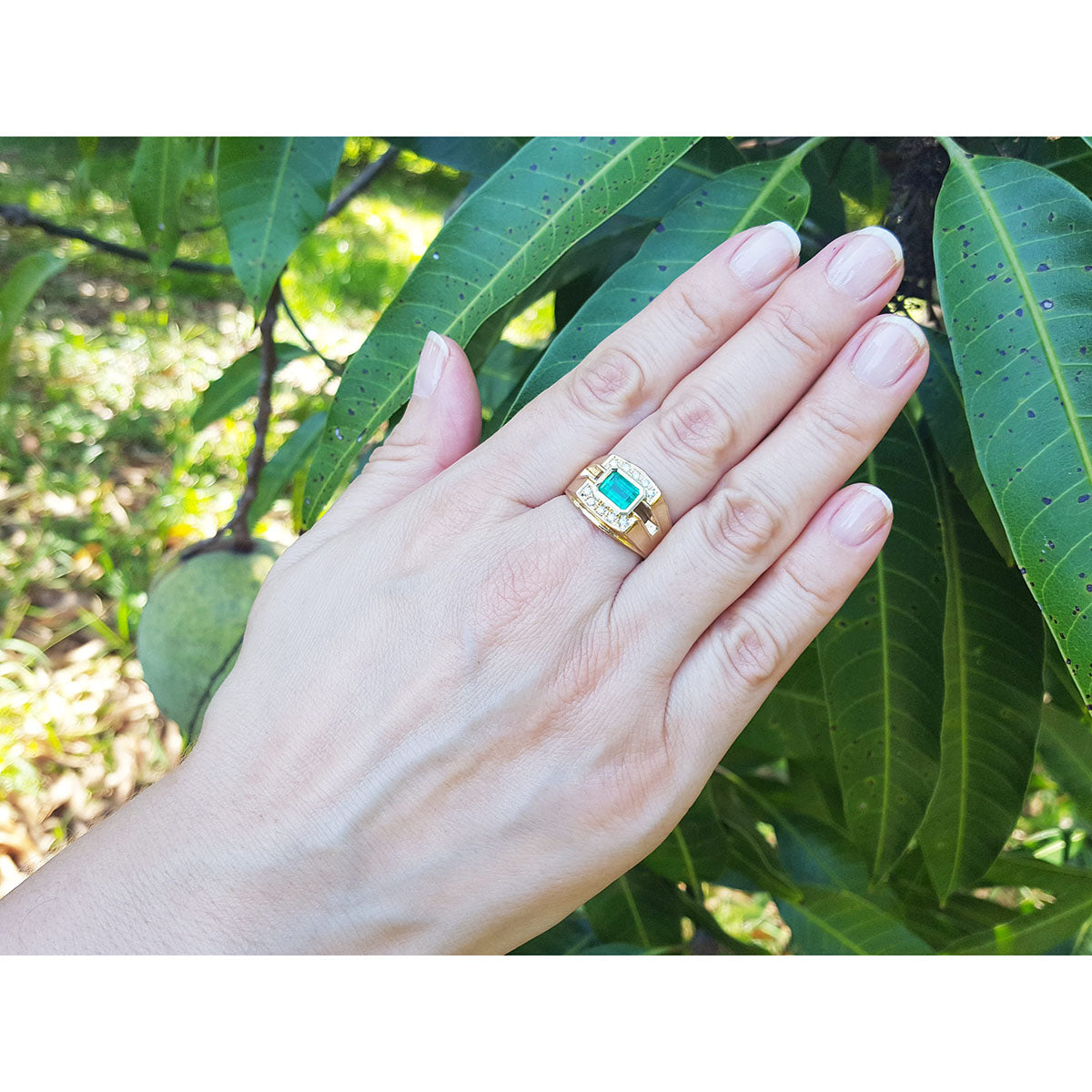 Hand wearing a gold ring with a natural colombian emerald against a green leafy background.