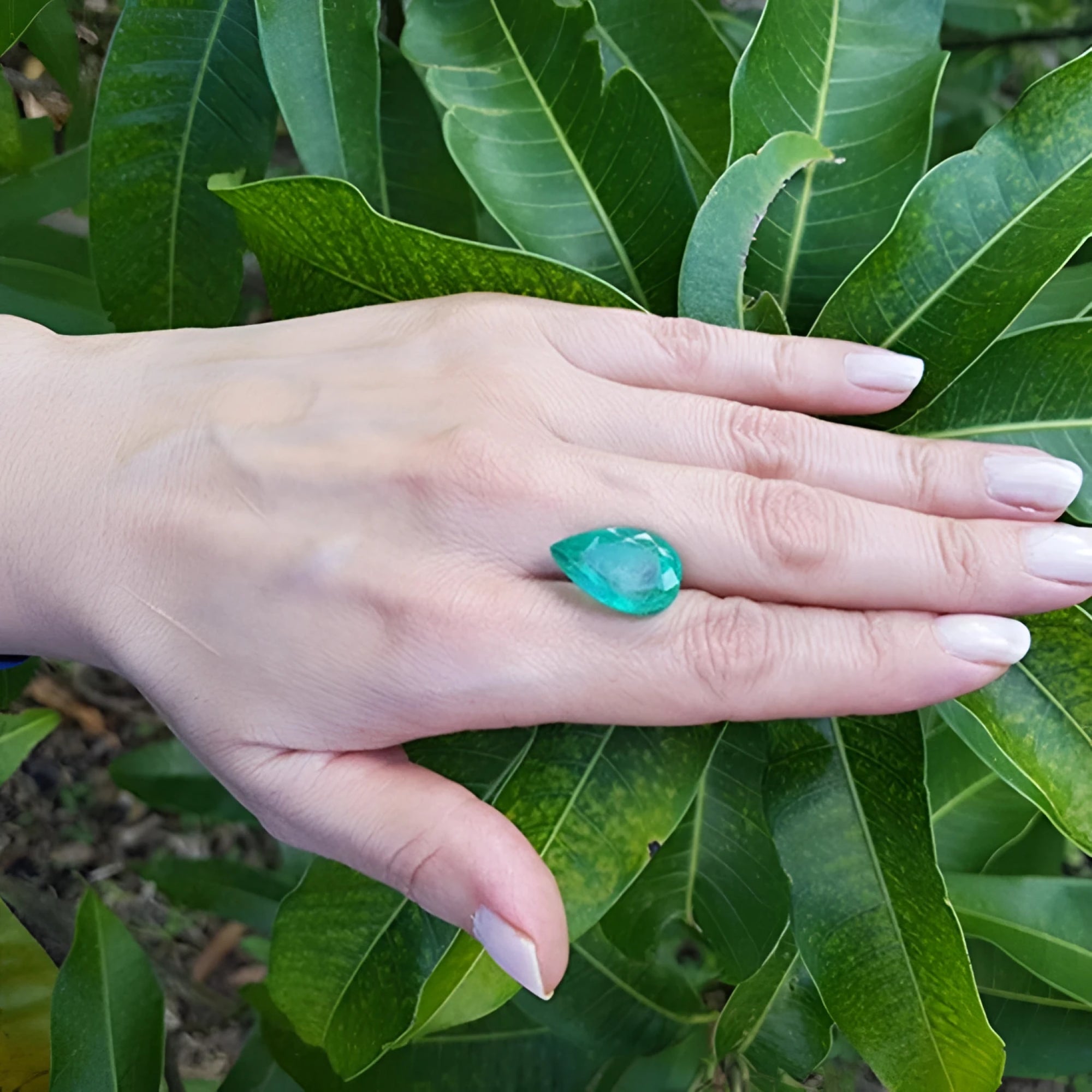 13.42 ct. pear-cut Colombian loose emerald, medium green, held on a hand against green leaves.