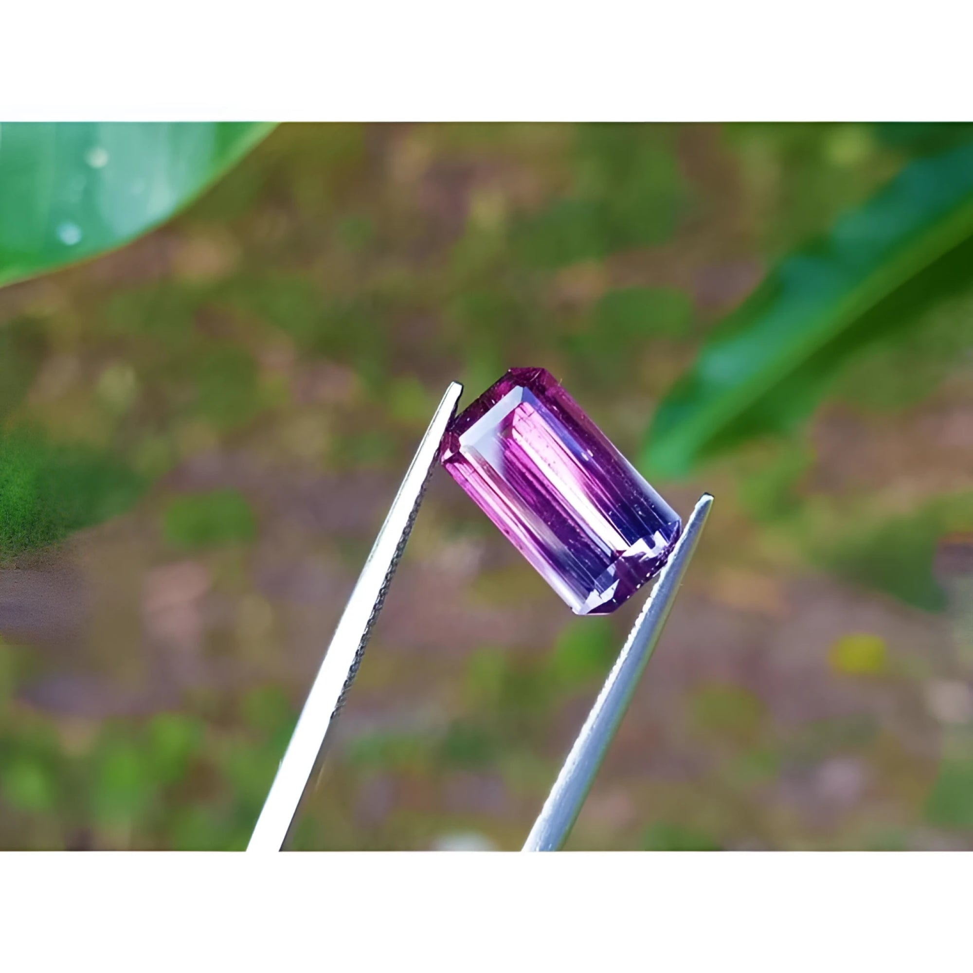 Brazilian Tourmaline Watermelon, 3.65 ct, with red mint fire and soft blue-green ends.