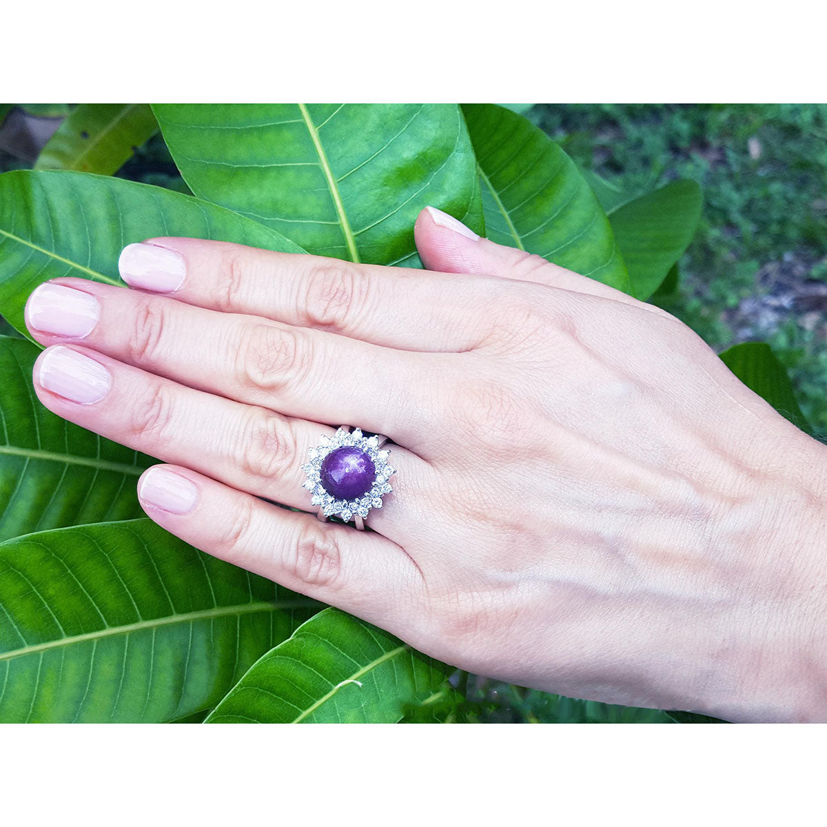 Hand wearing Red purple cabochon star ruby women&#39;s ring against a green leaf background
