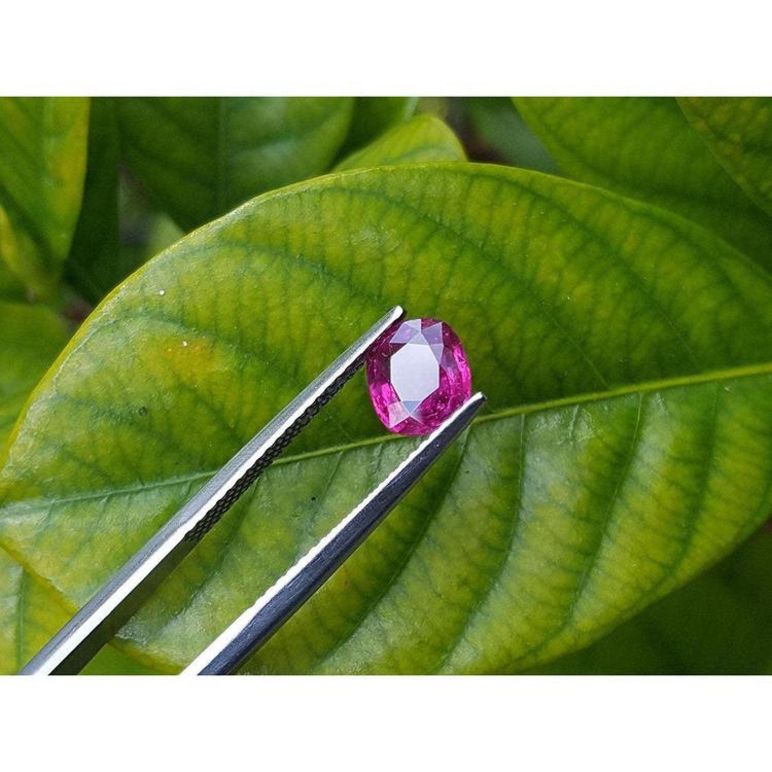 1.18 carat loose natural cushion-cut ruby gemstone with vibrant red hue, held by tweezers over a green leaf.