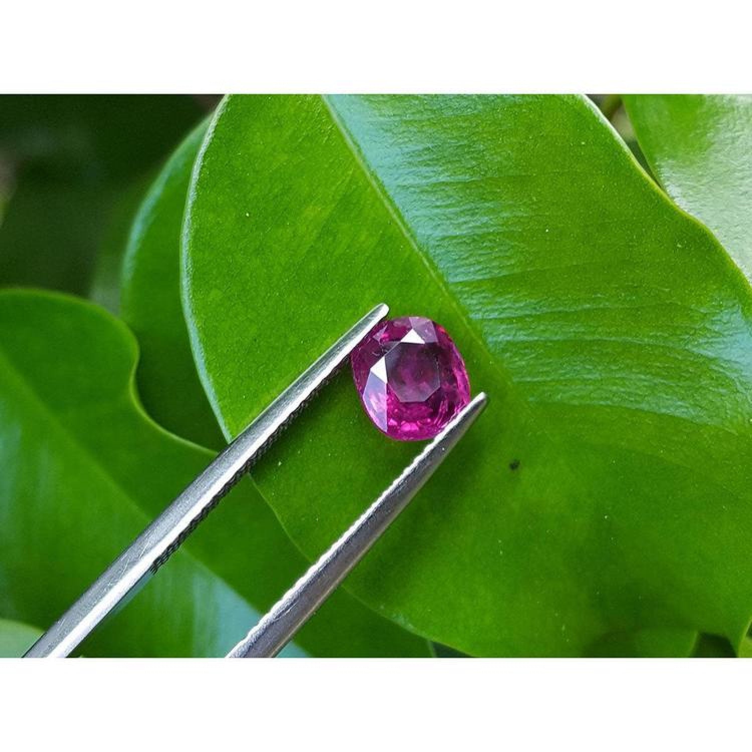 1.18 carat loose natural cushion cut ruby gemstone with vibrant red hue, held by tweezers against green leaves.