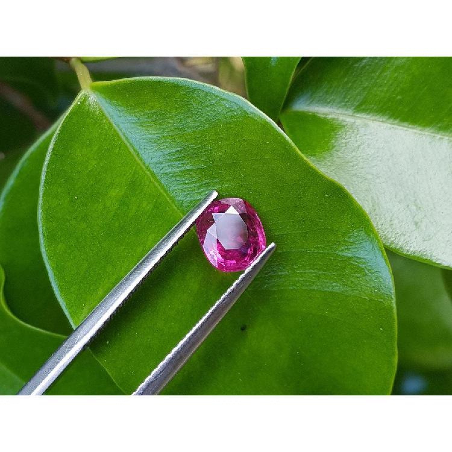 1.18 carat loose natural cushion cut ruby gemstone with vibrant red hue, held by tweezers on a green leaf.