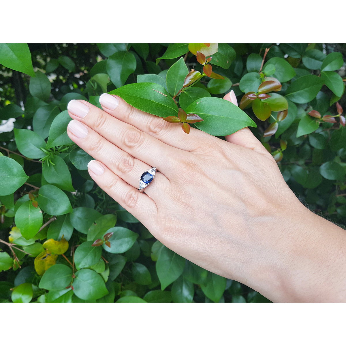 Hand wearing a white gold ring with a blue cushion cut natural sapphire against a green leafy background