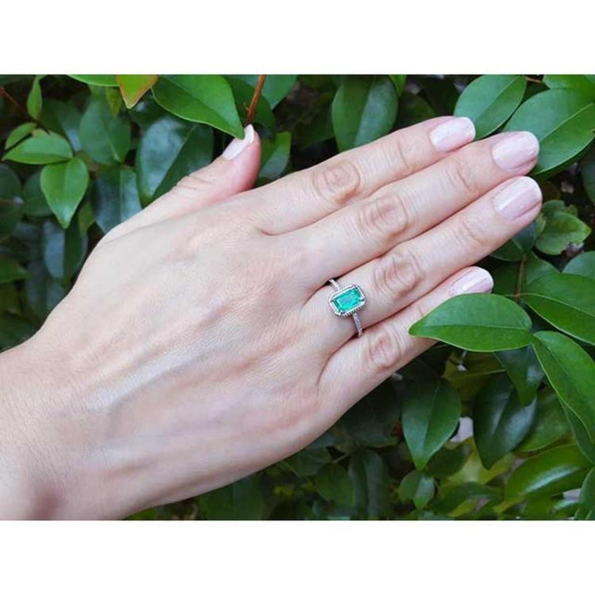 14K white gold cushion-cut emerald solitaire ring with rope detailing on a hand against green leaves.
