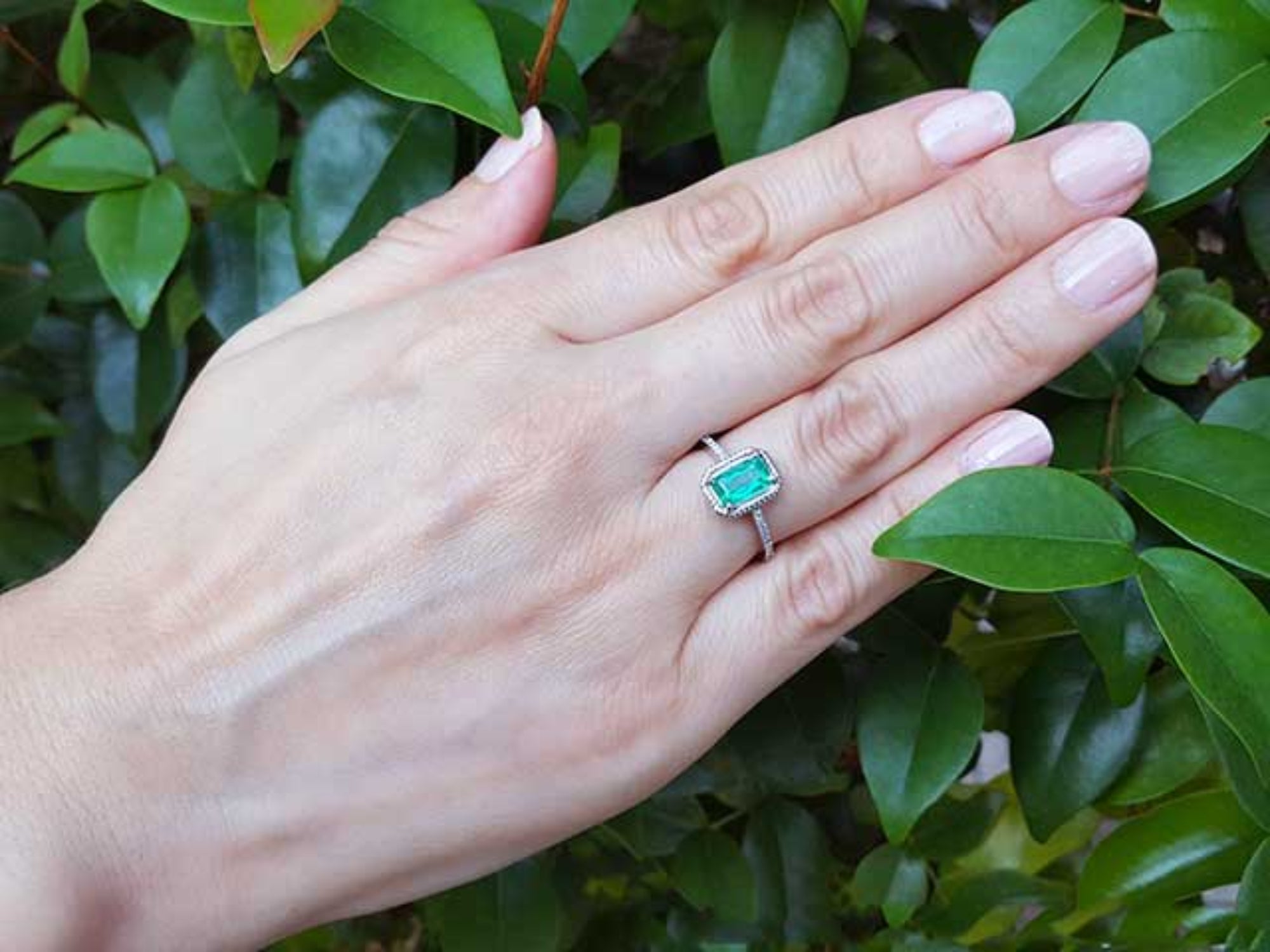 Hand wearing a ring with an emerald stone against a green leafy background.