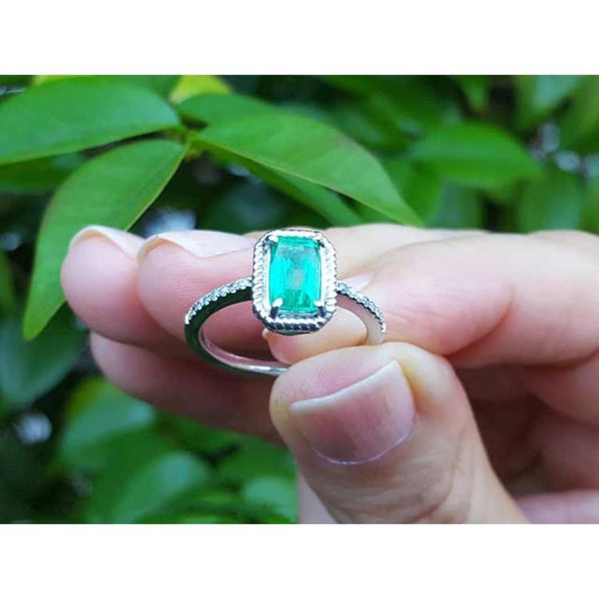 14K white gold cushion-cut emerald solitaire ring with rope detailing, held against green leaves.