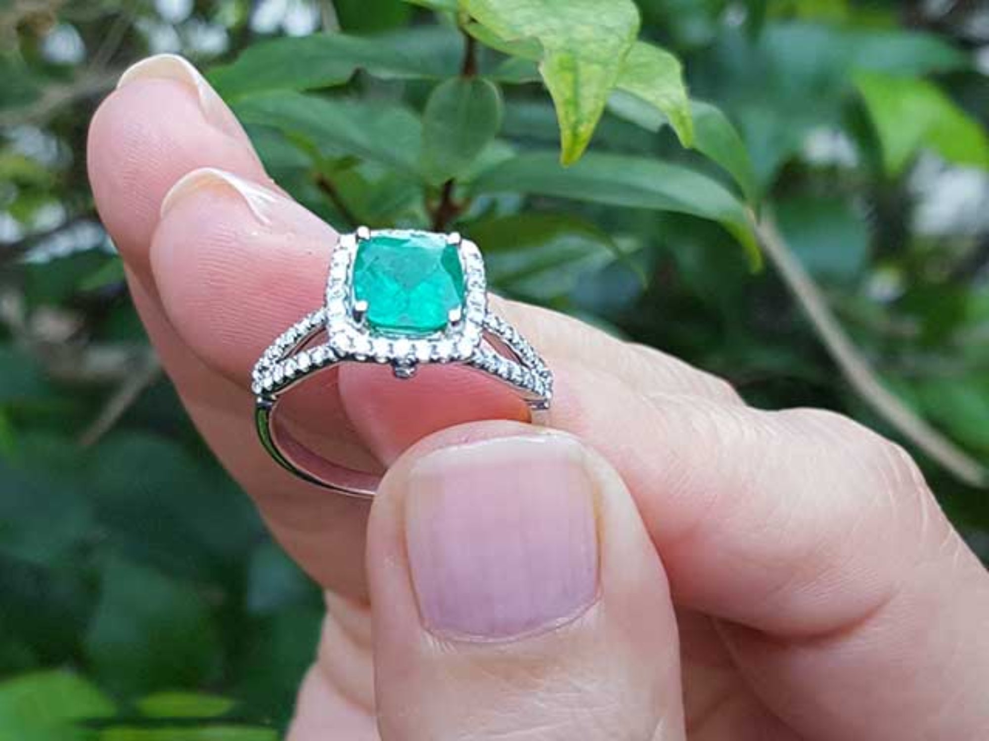 Held between fingers a bridal&#39;s emerald engagement ring with a green leafy background.