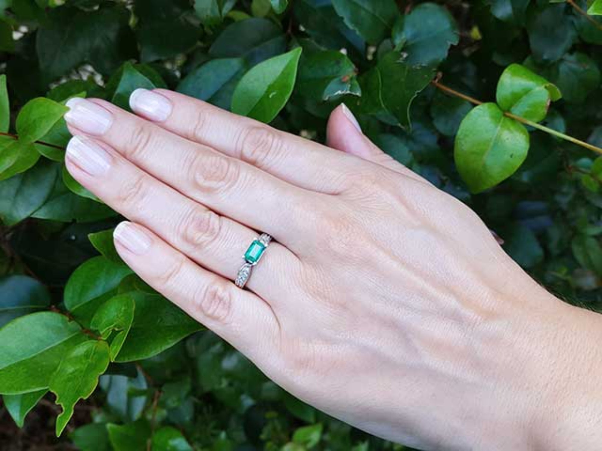 Hand wearing a Mother&#39;s Day gift emerald ring against a green leafy background.