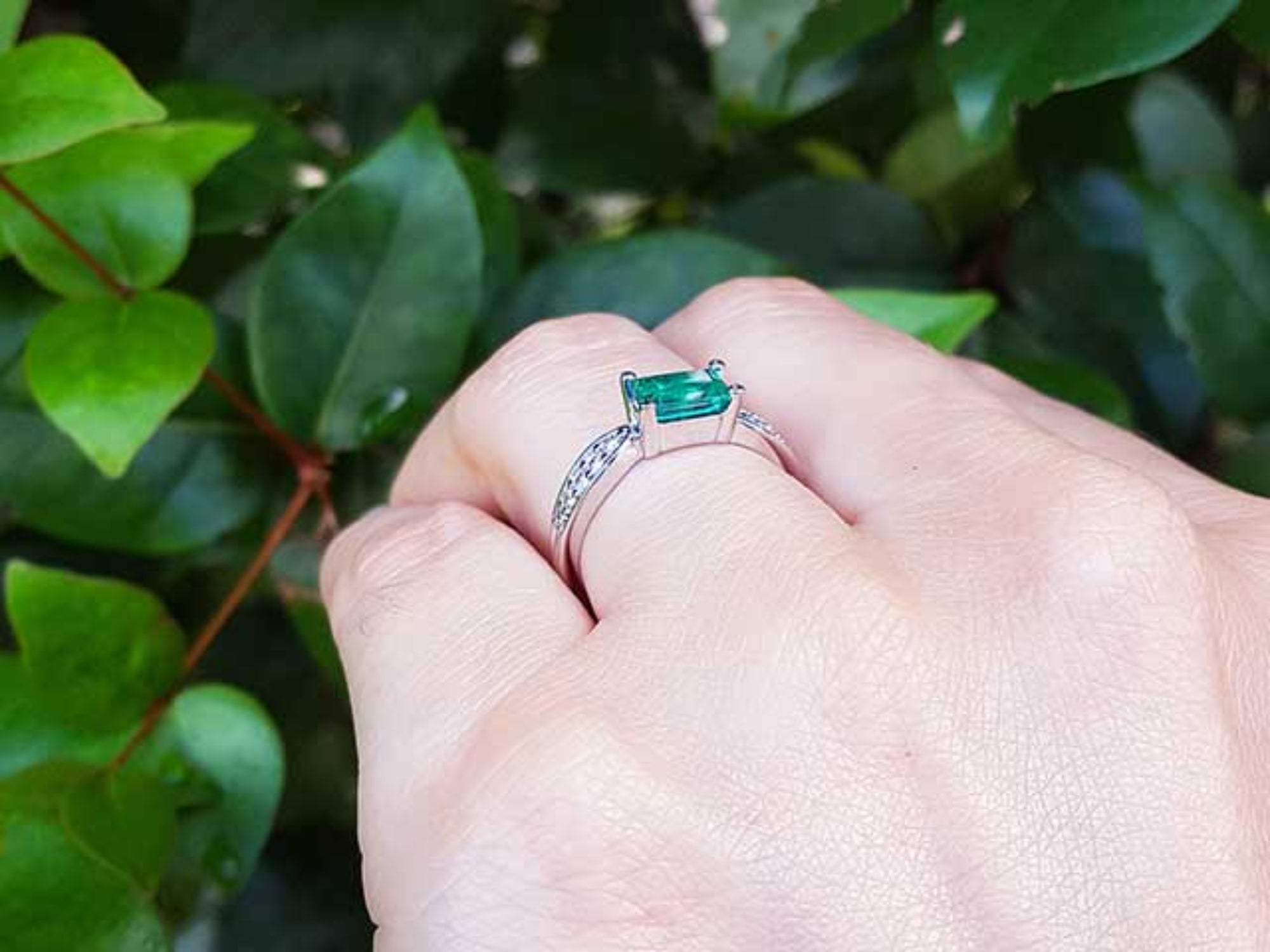 Hand wearing a ring with an emerald stone against a green leafy background.