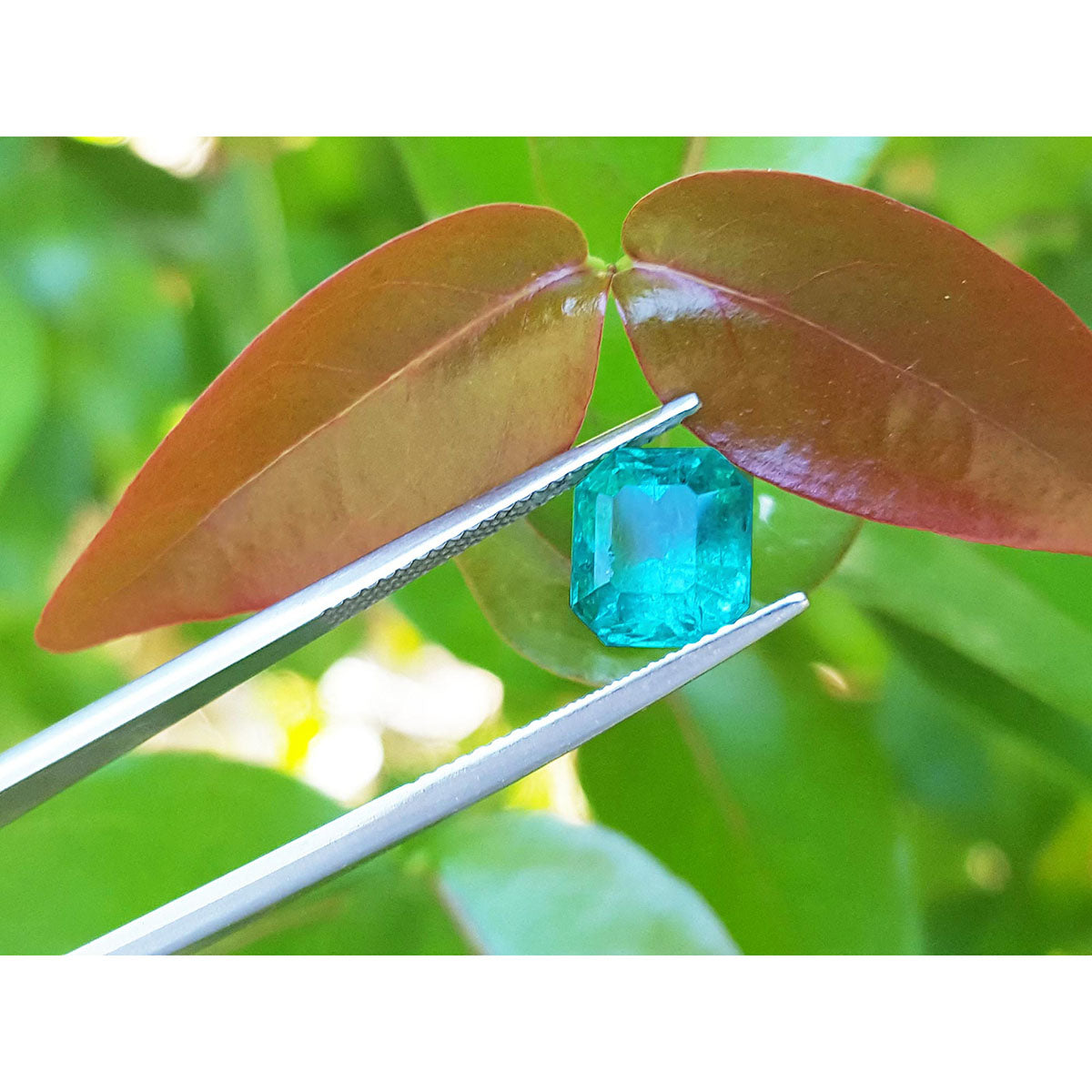 Natural Emerald 2.95 ct. from the Muzo Mines in Colombia