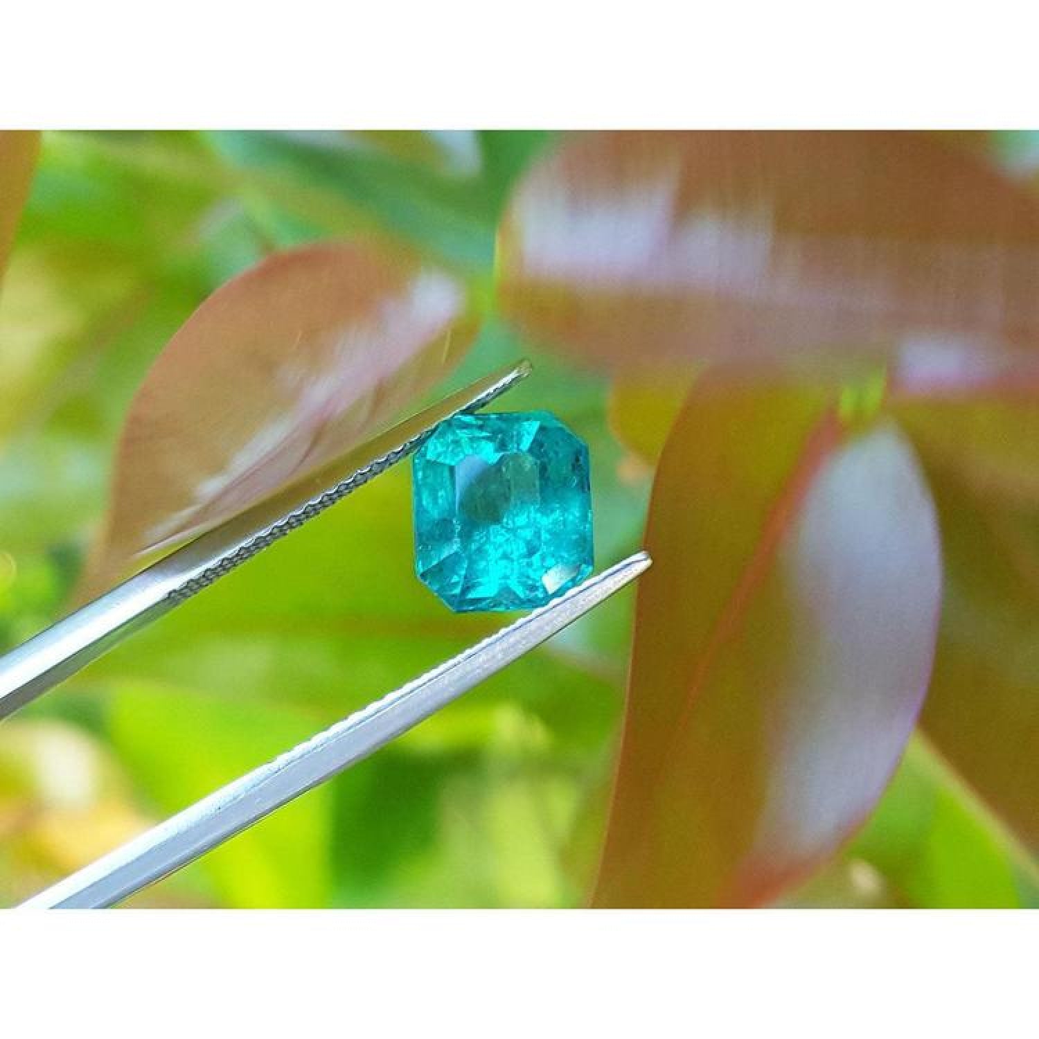 2.95 ct square natural Colombian emerald, bright medium green, held by tweezers.