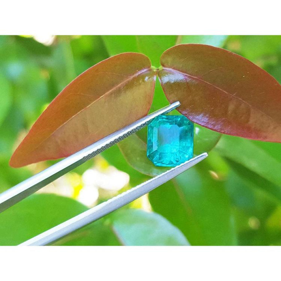2.95 ct square natural Colombian emerald, bright medium green, held by tweezers against green and red leaves.