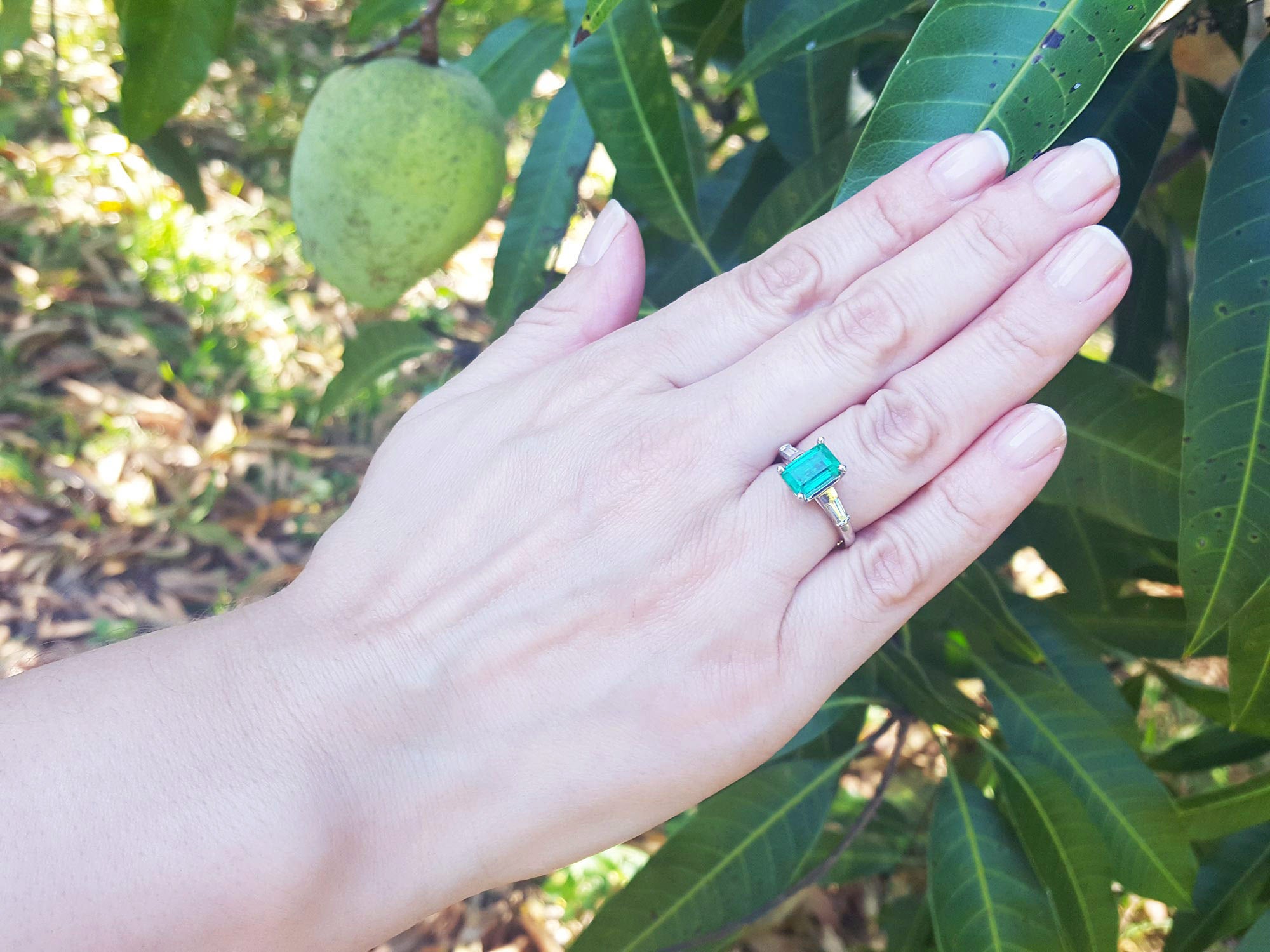 Hand with a three stone emerald and baguette side diamond ring in front of green leaves.
