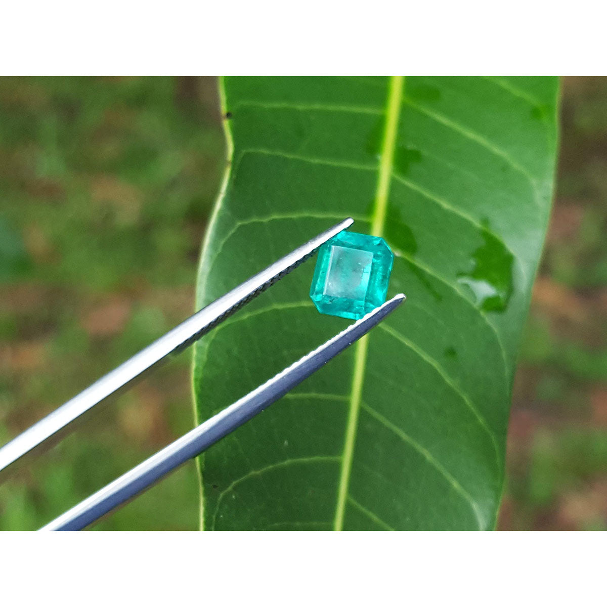 Emerald-cut 1.41 Carat Natural Loose Colombian Emerald