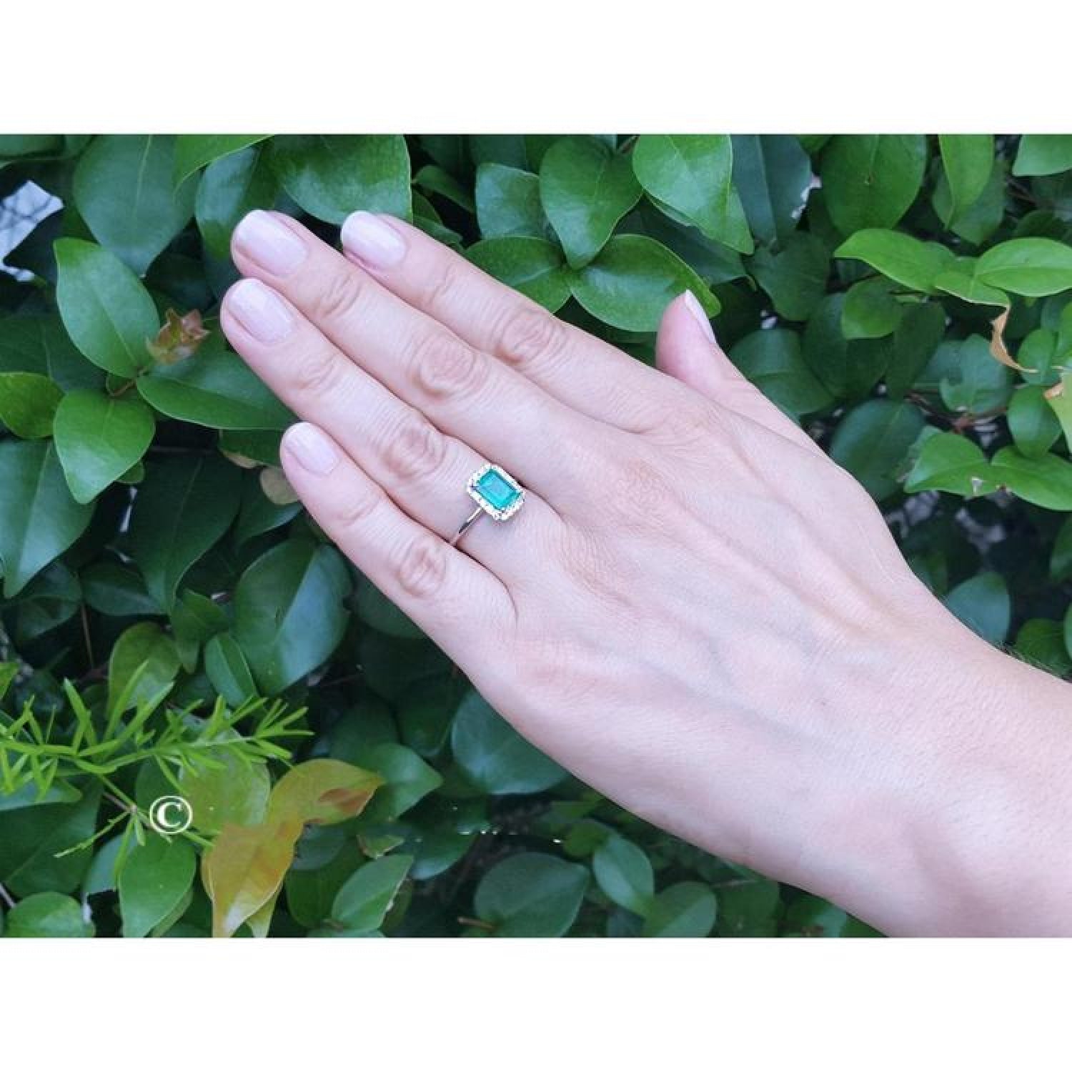 Emerald-cut Muzo emerald halo diamond ring in 14K white gold on a hand with green foliage background.