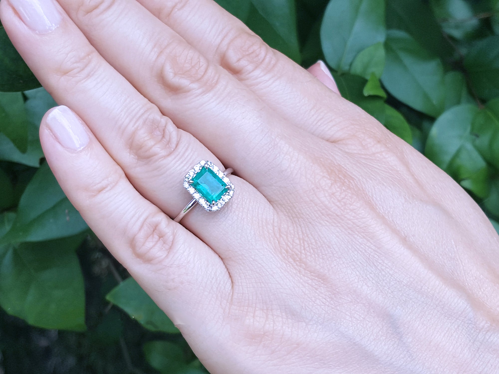Hand wearing a ring with an emerald stone against a green leafy background. 