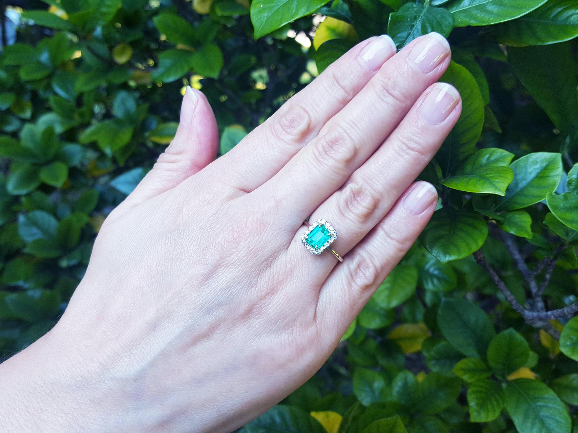 A woman&#39;s hand wearing a real emerald ring on a green leafy background.