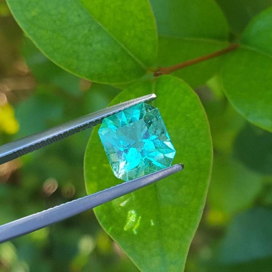 3.60 ct GIA certified loose Colombian emerald, medium bluish green, held by tweezers against green leaves.