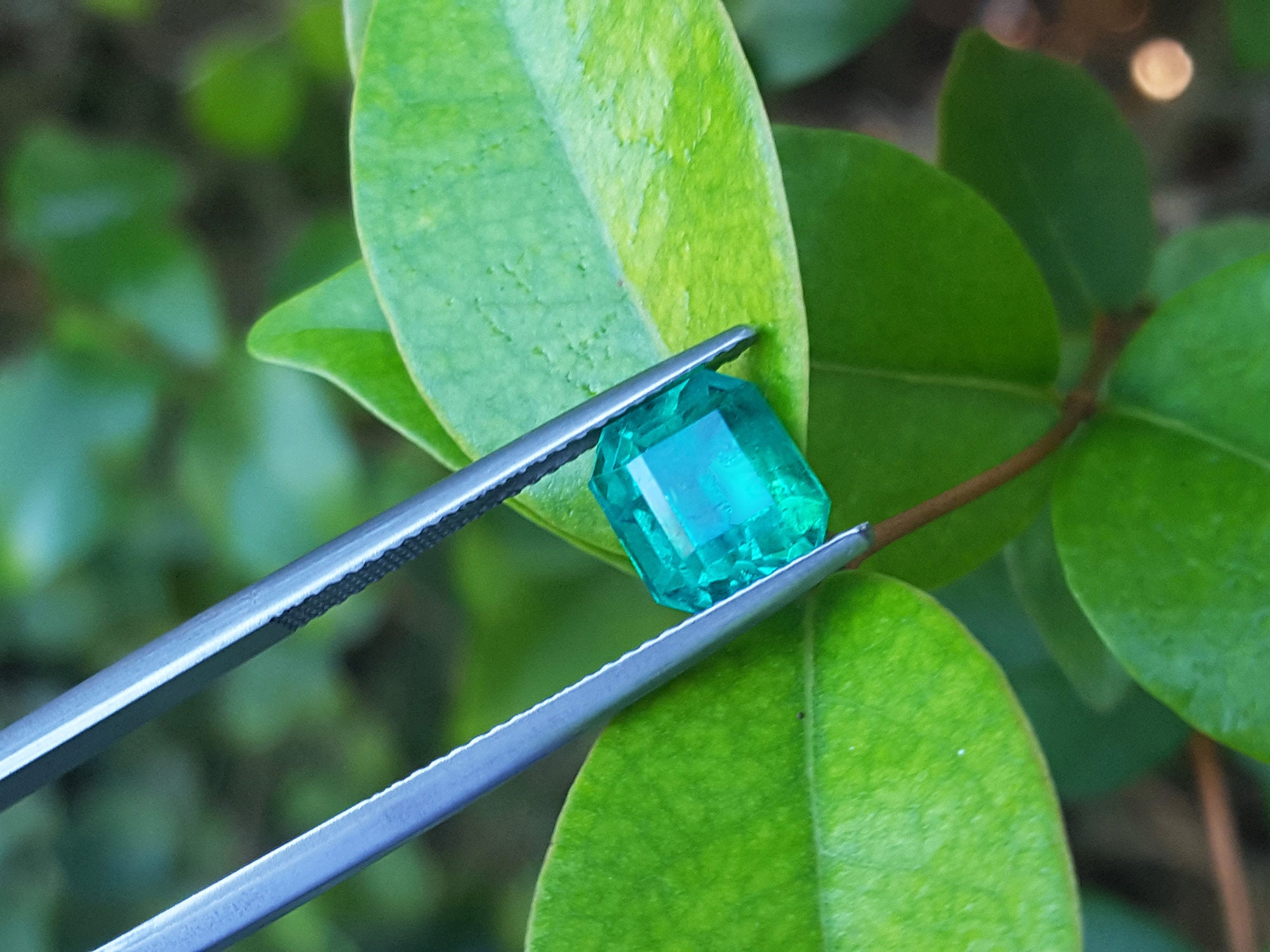 Emerald-cut 2.76 ct. Muzo mine loose emerald front side table and crown view on three leaves