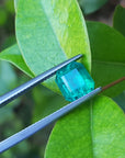 Emerald-cut 2.76 ct. Muzo mine loose emerald front side table and crown view on three leaves