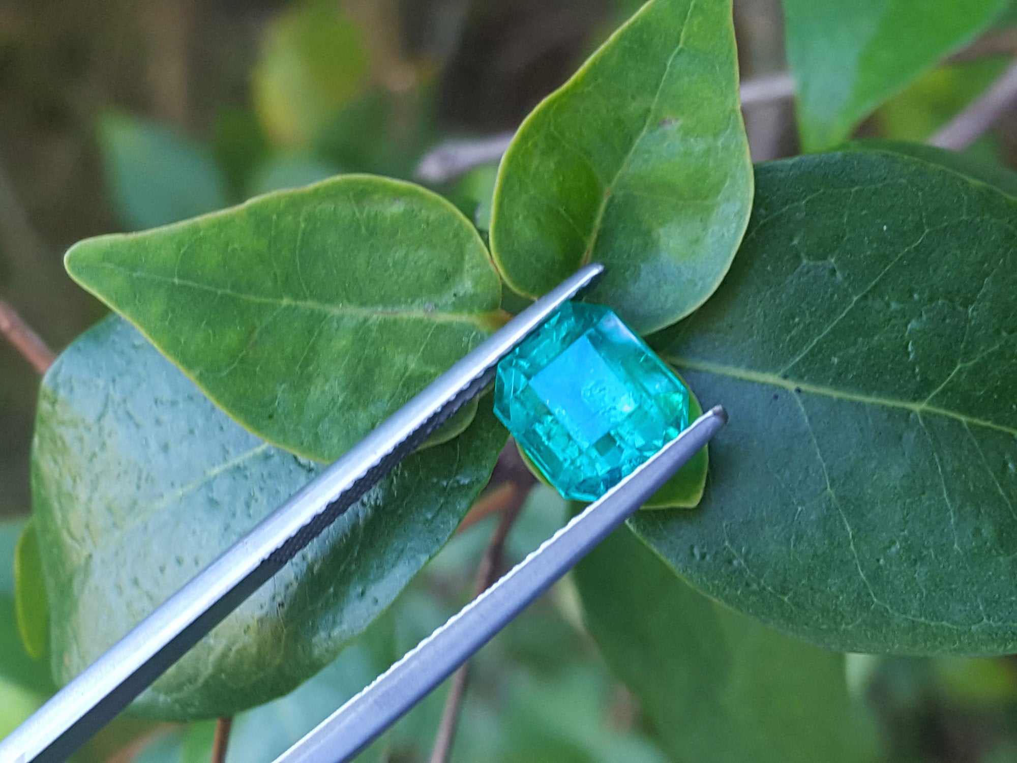 Emerald-cut 2.76 ct. Muzo mine loose emerald front side table and crown on top three leaves
