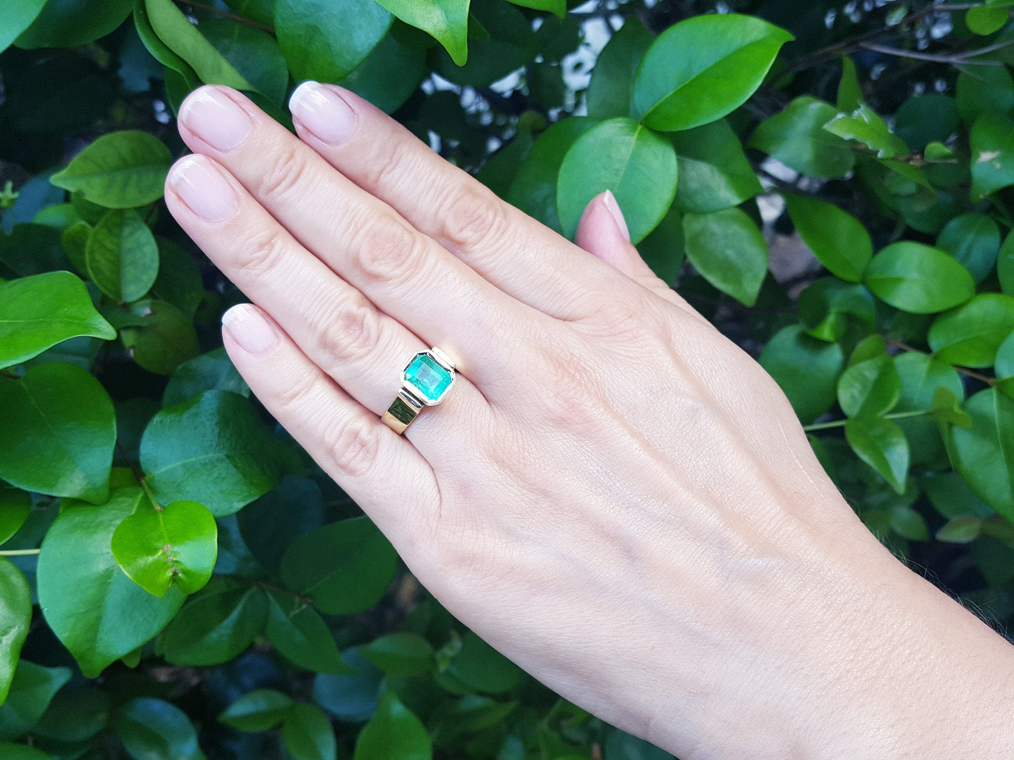 Hand wearing a gold ring with a natural emerald against a green leafy background.