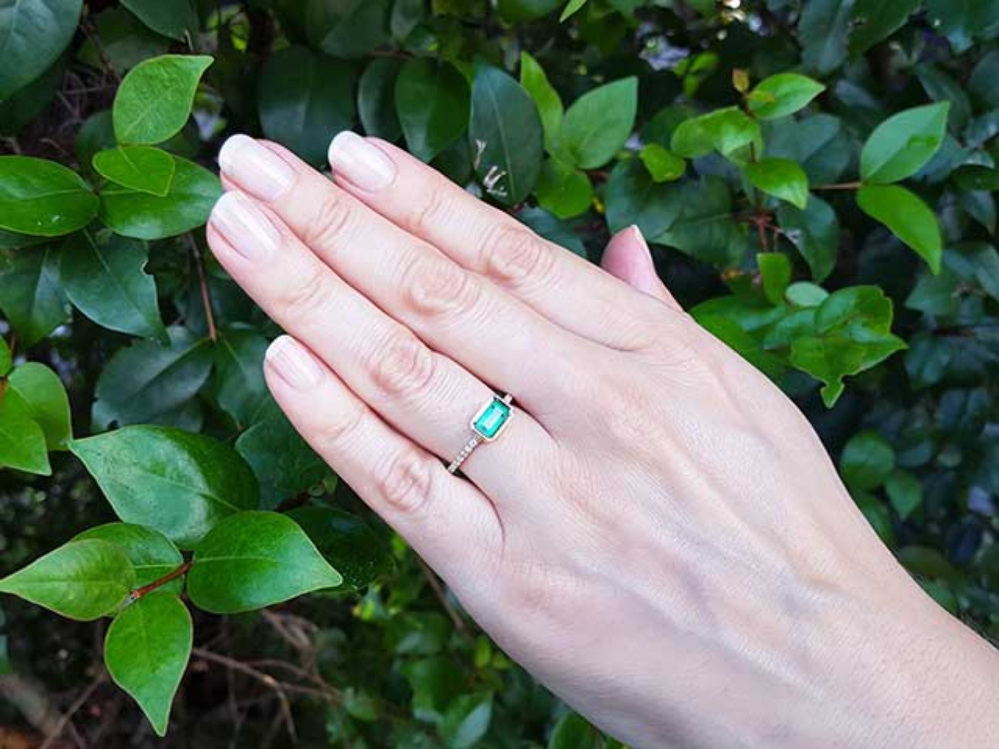 Hand wearing a Colombian emerald ring for mother&#39;s day with a leafy background.