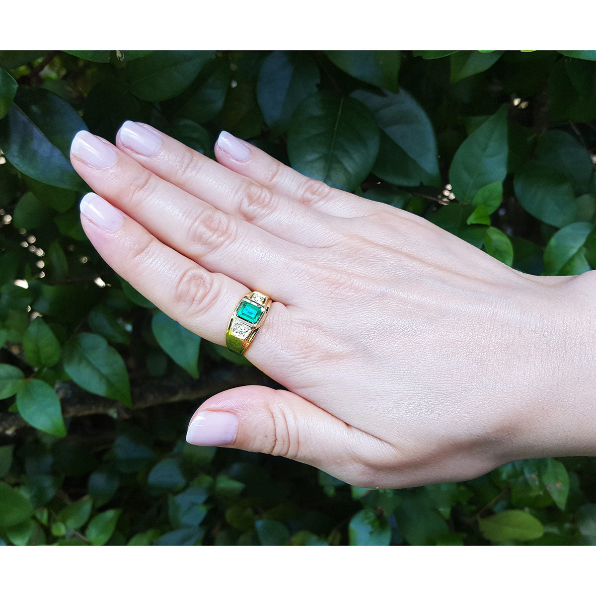 Hand wearing a yellow gold genuine emerald men&#39;s ring against a leafy background.
