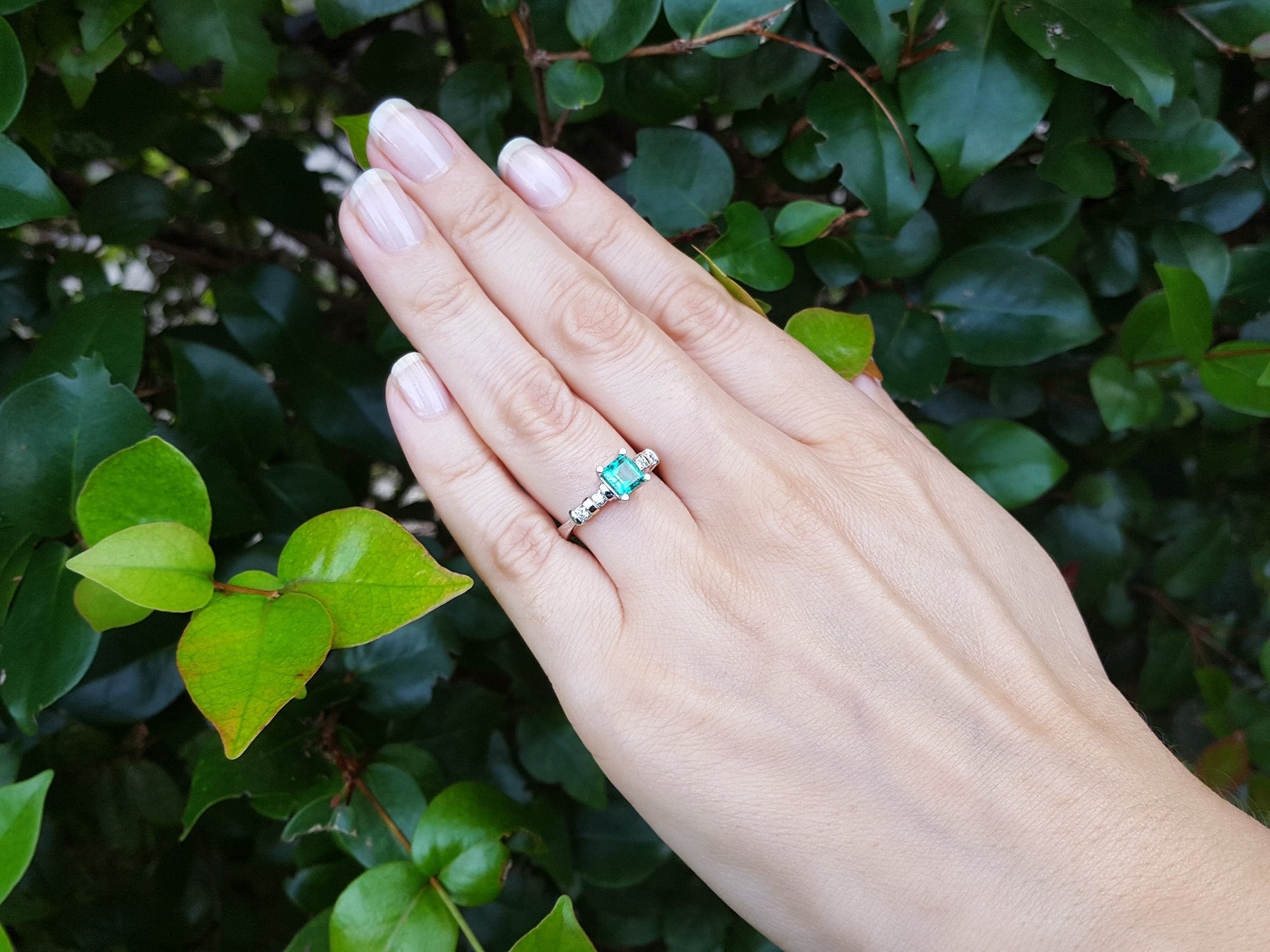 Hand wearing a ring with an emerald stone against a green leafy background.