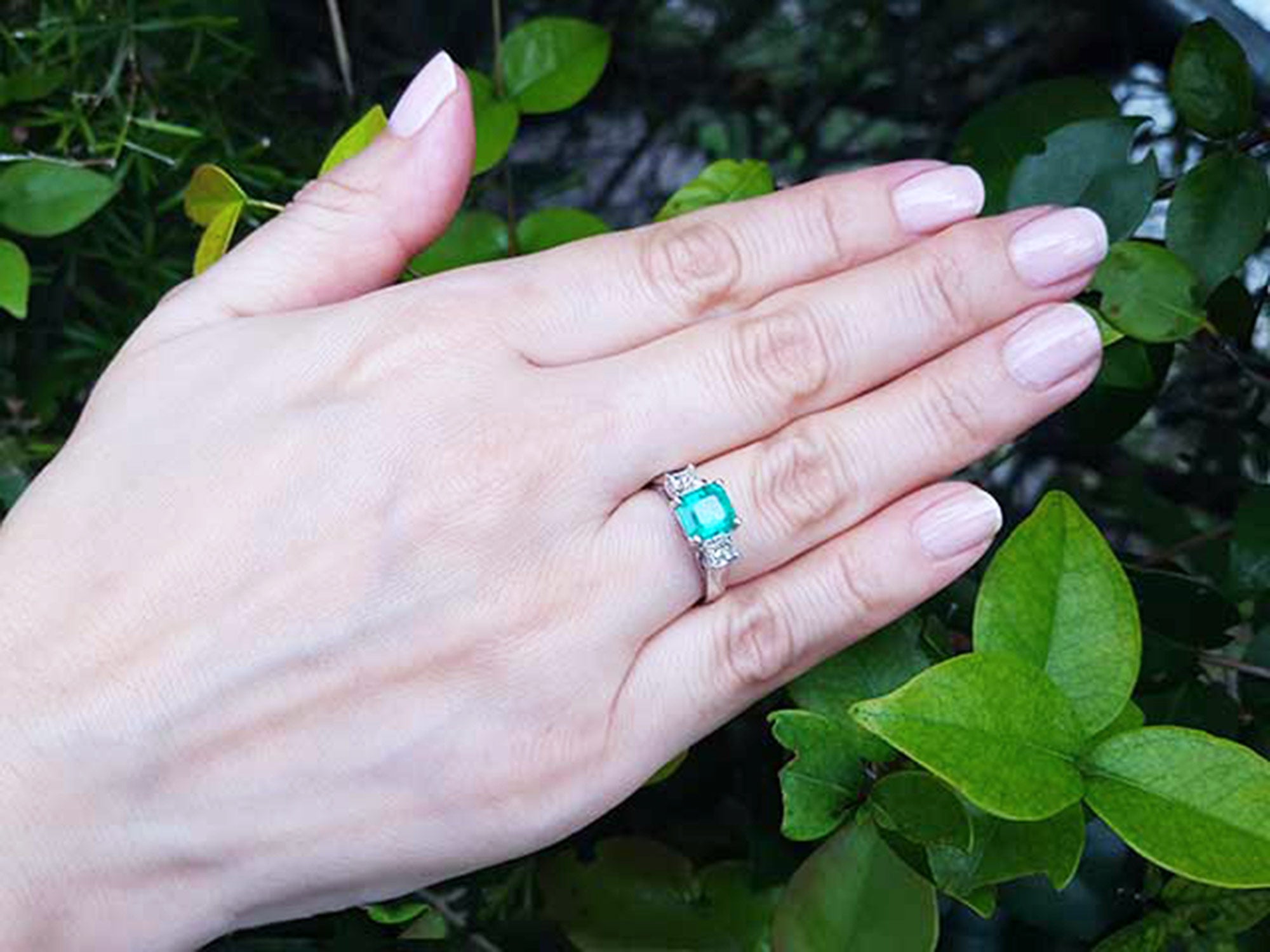 Hand wearing a ring with an emerald stone against a green leafy background.