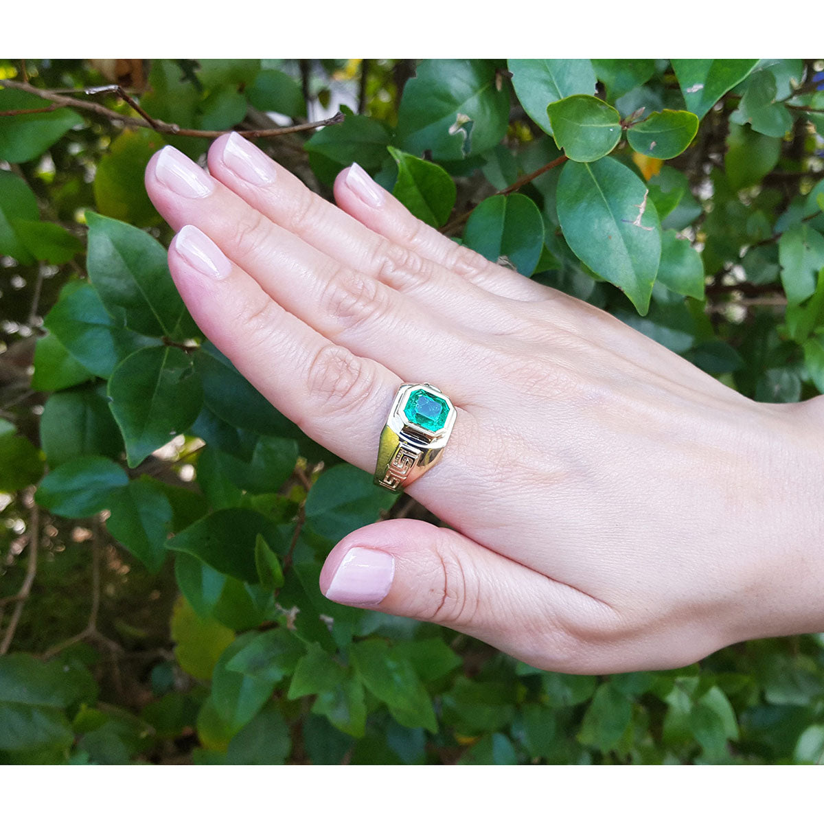 Hand wearing a mens gold ring with a natural square emerald against a green leafy background.