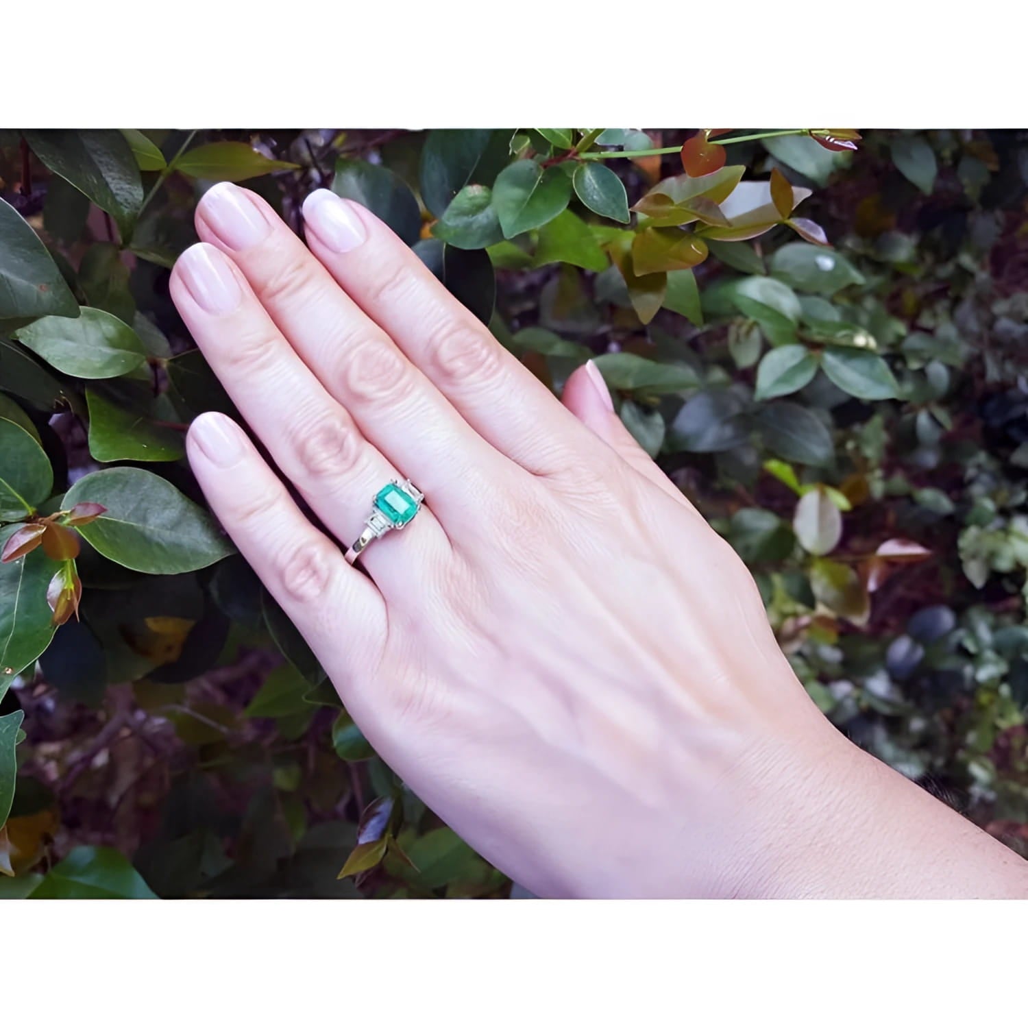 Three stone emerald ring with side diamonds in 18K white gold on a hand against green foliage.