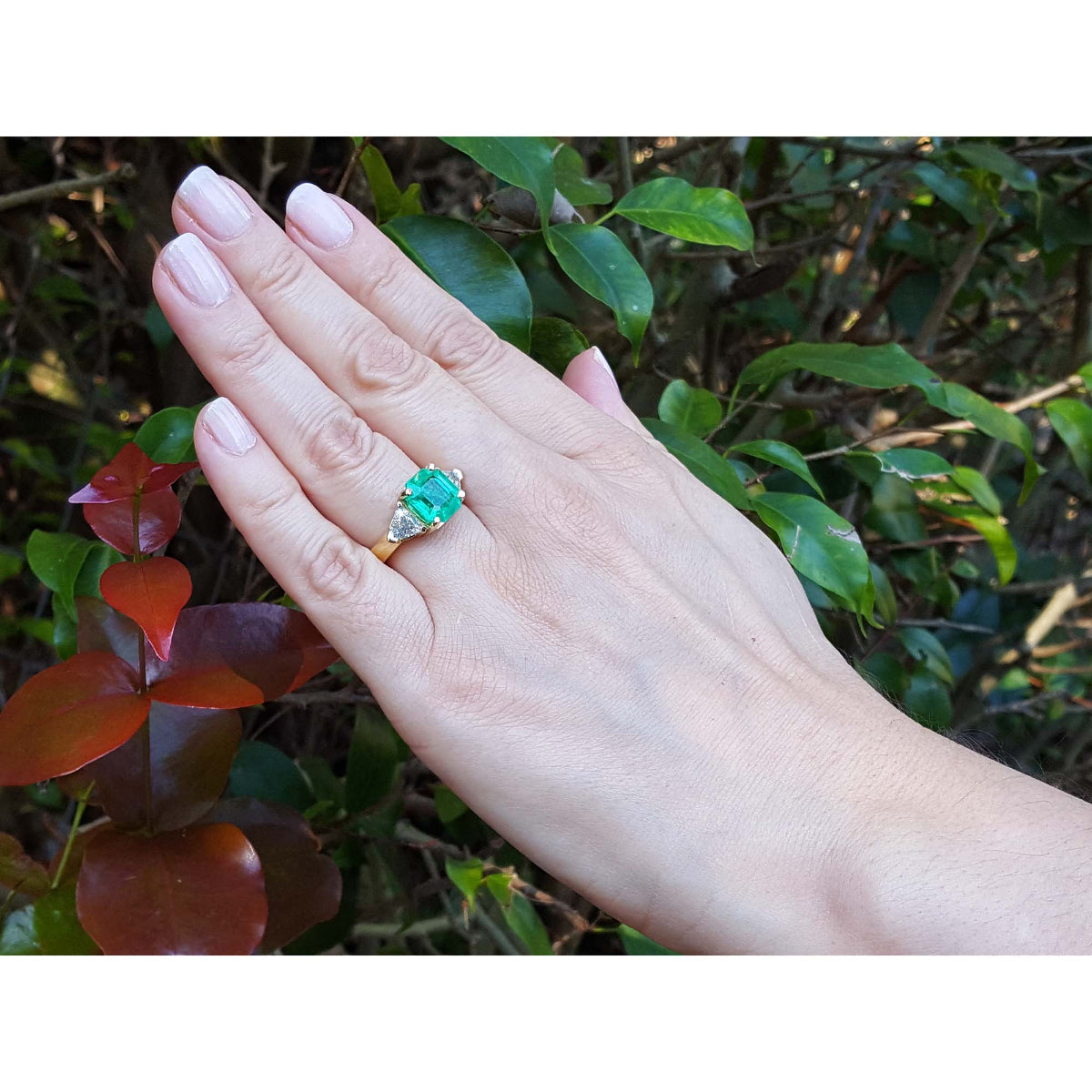 Hand wearing an emerald ring with a natural green leafy background.