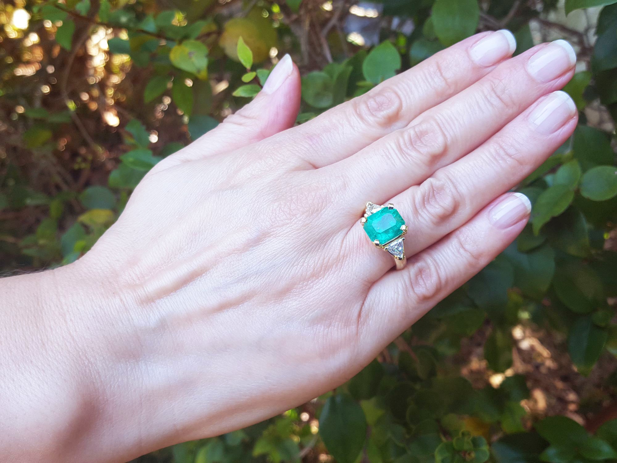 Hand wearing an emerald ring with a blurred green leafy background.