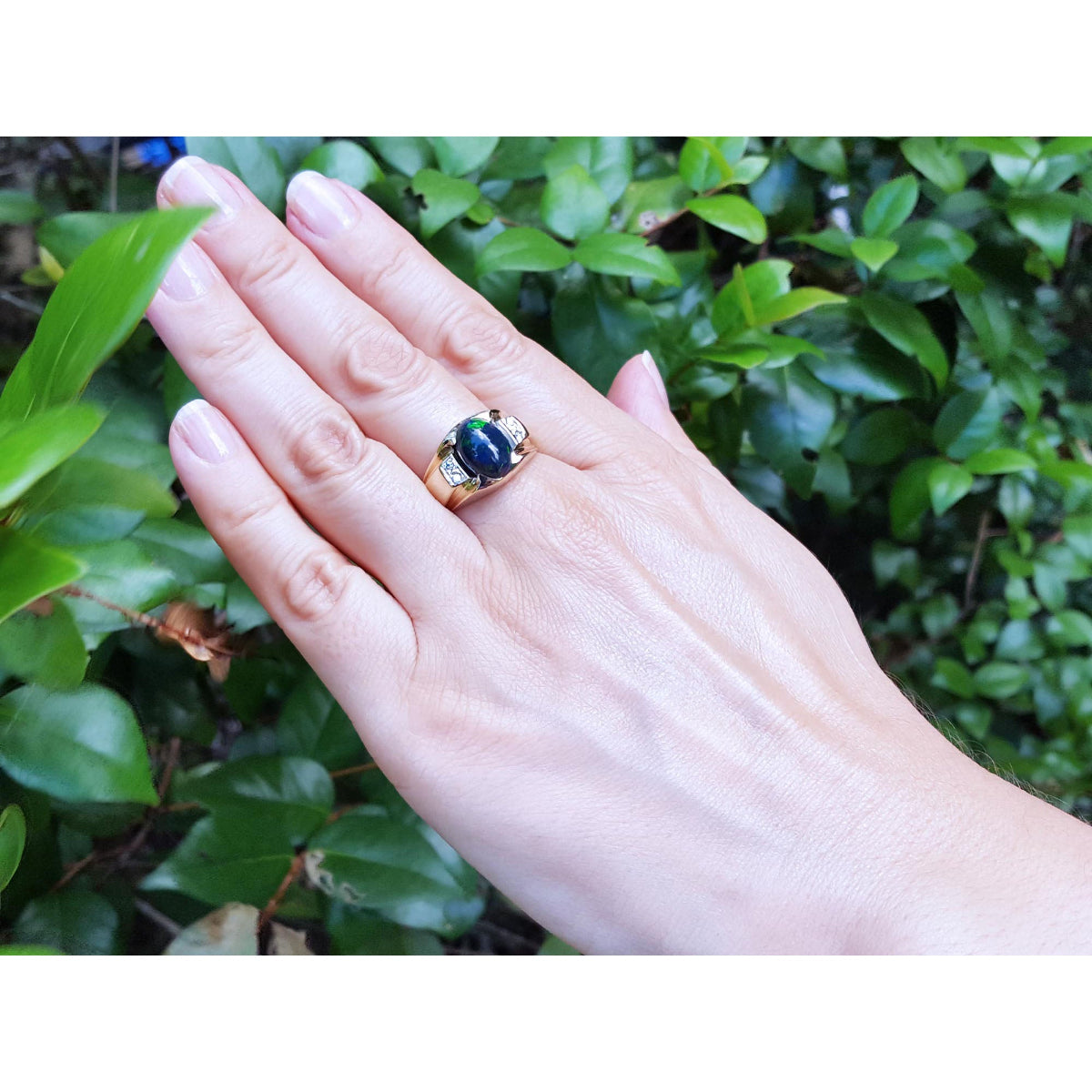 Hand wearing a gold ring with a black opal against a green leafy background.