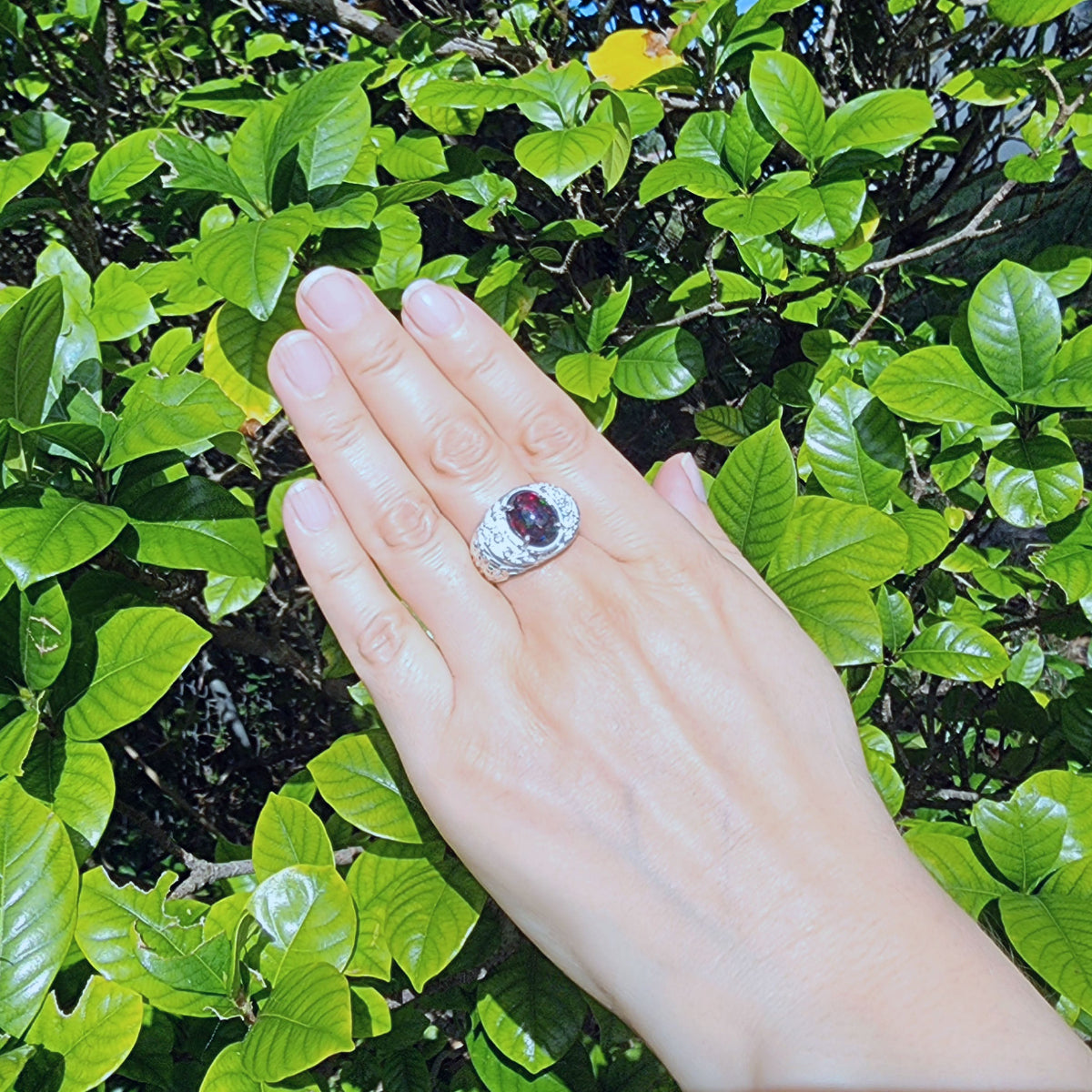 Hand wearing a silver ring for men with a red Ethiopian black opal against a green leafy background
