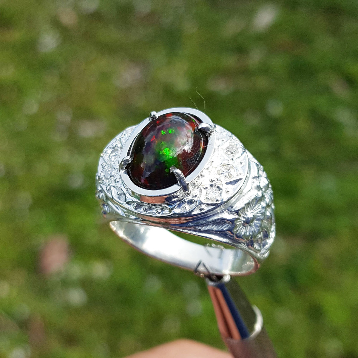 Silver ring for men with a colorful Welo black opal held against a blurred green background