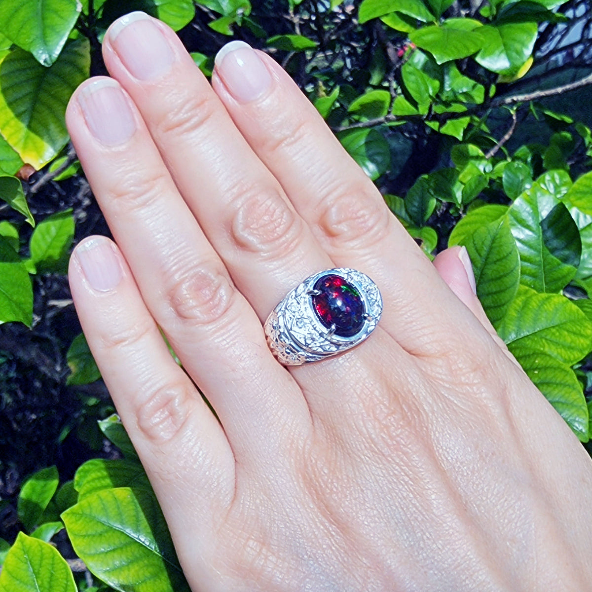 Hand wearing a silver ring for men with a colorful black opal against a green leafy background