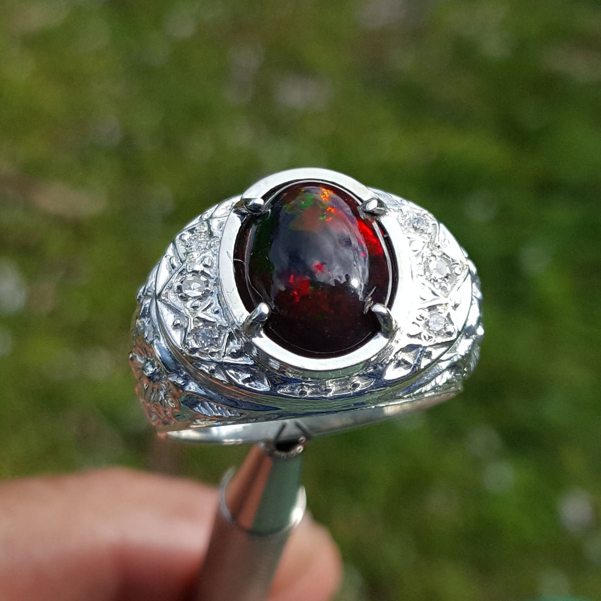 Silver ring for men with a red Ethiopian opal held by a hand against a blurred green background