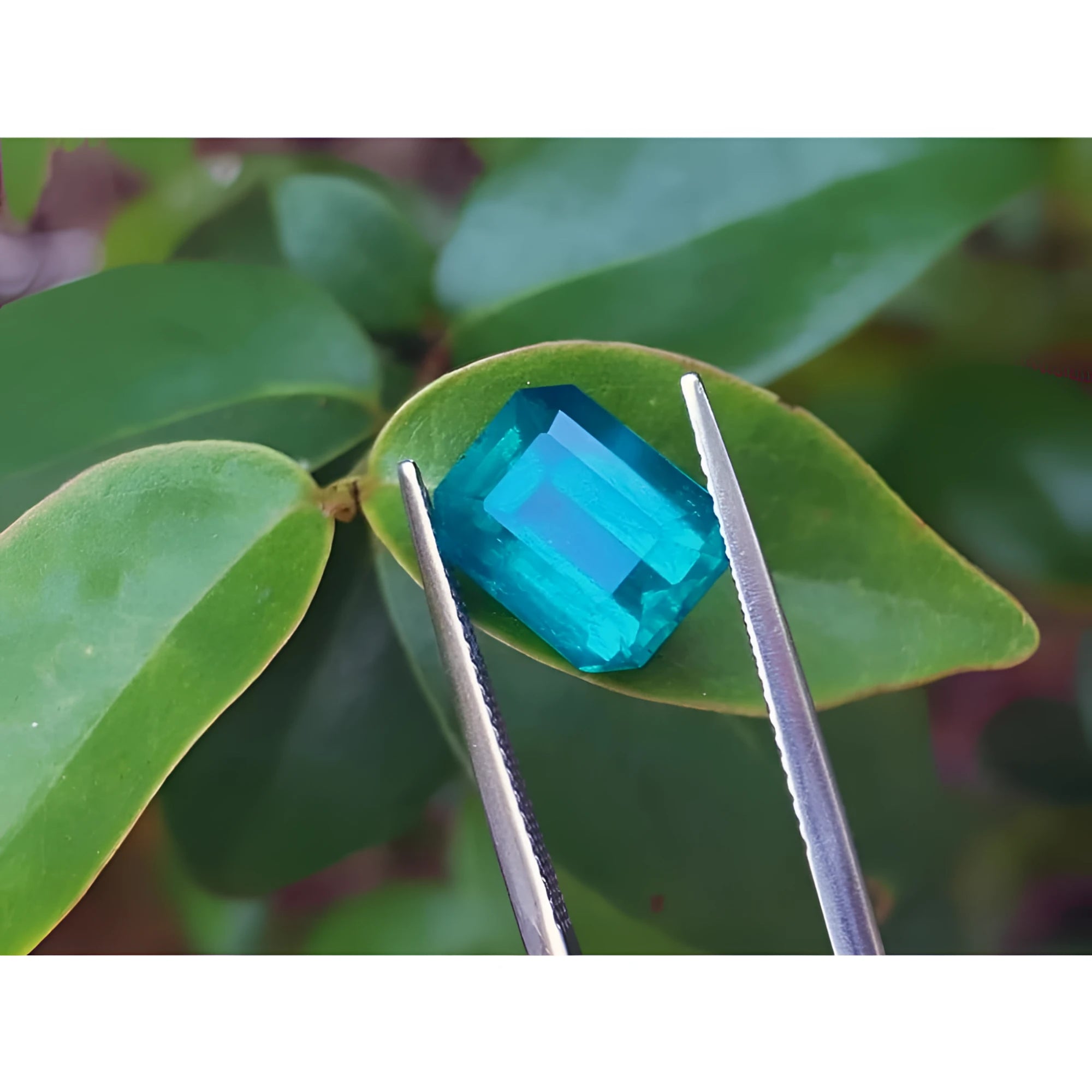 3.98 ct emerald-cut Muzo emerald, vibrant bluish-green, held by tweezers on a green leaf.